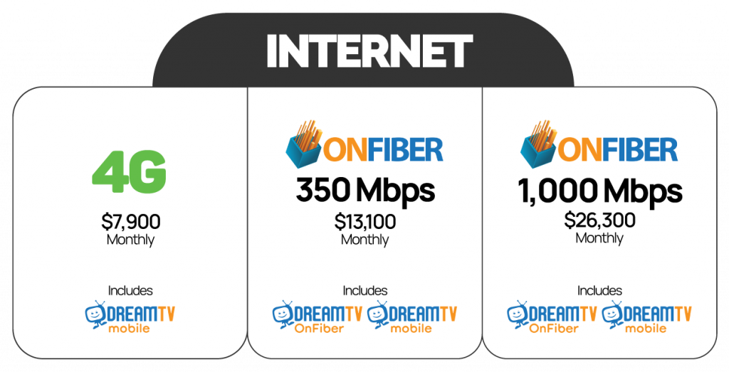 E-Networks – TV, Internet & Media Solutions